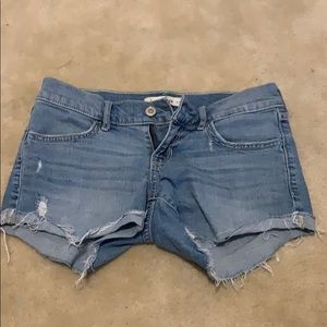 Hollister Jean Shorts